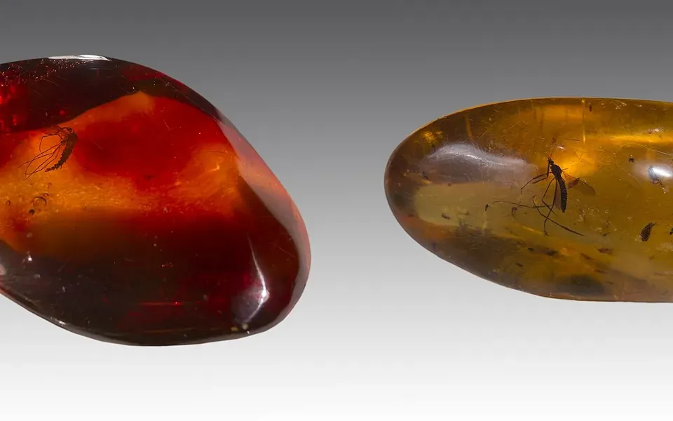 Ambre, pierre naturelle