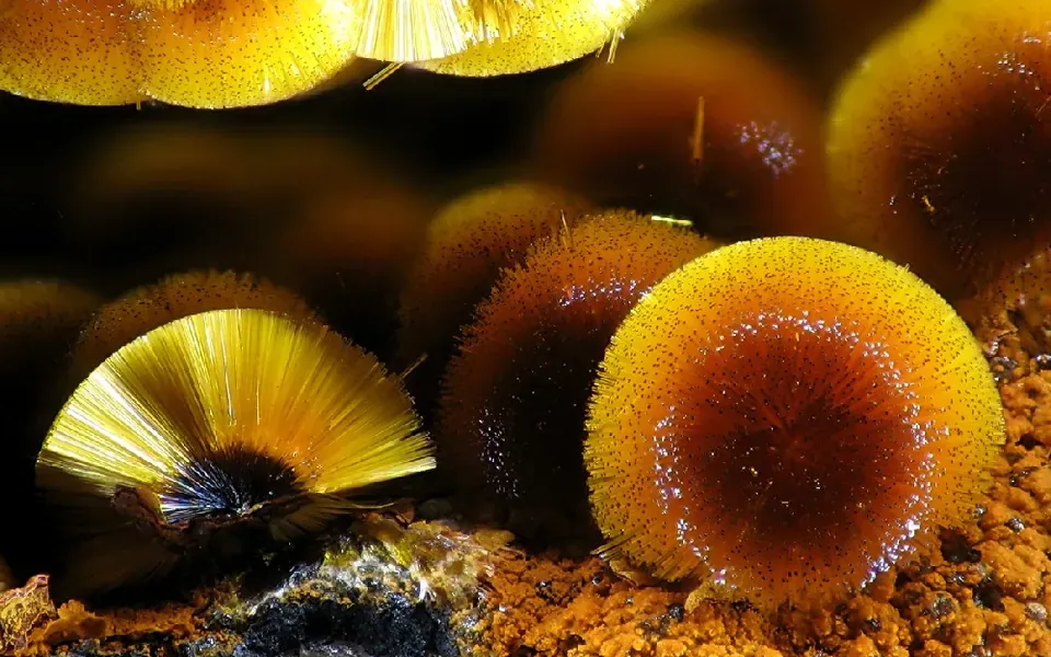 Cacoxenite, pierre naturelle