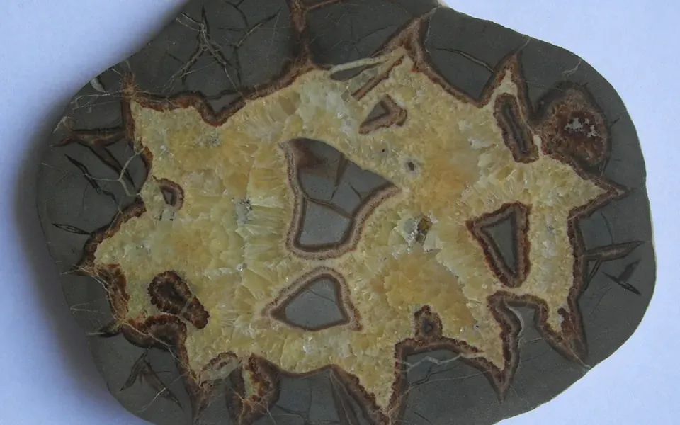 Septaria, pierre naturelle