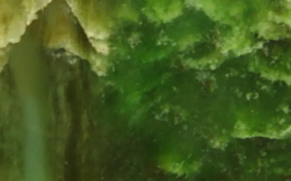 Serpentine, pierre naturelle